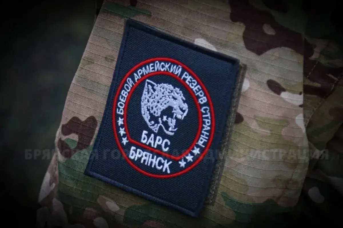 БАРС Брянск борьба с беспилотниками