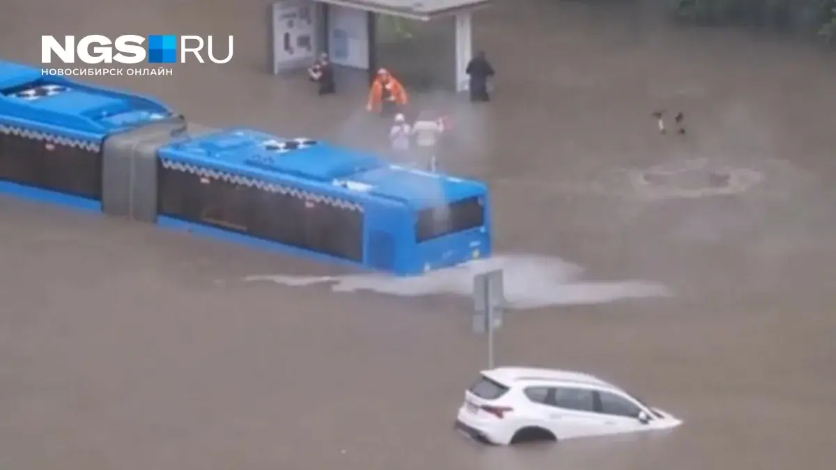 Температура в Москве рухнула на 12 градусов за сутки: как москвичам пережить 50% месячной нормы дождей и геомагнитный уд