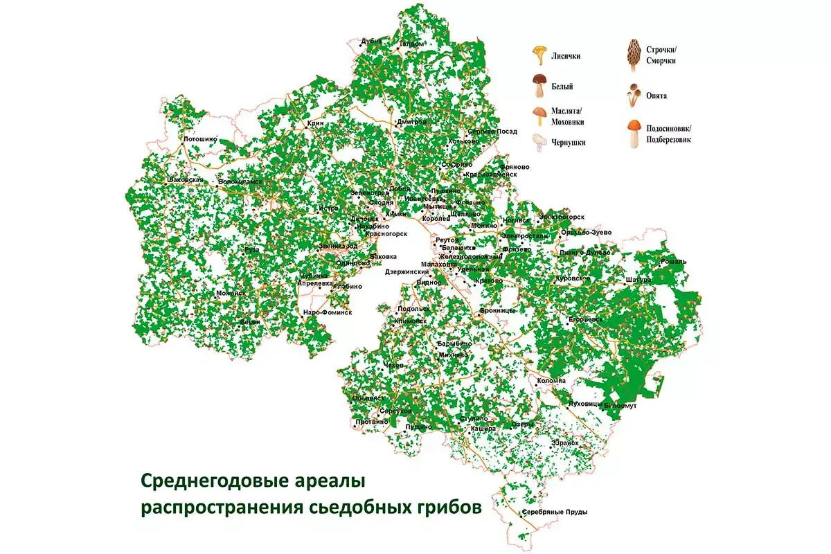 карта грибных мест подмосковье июль 2026