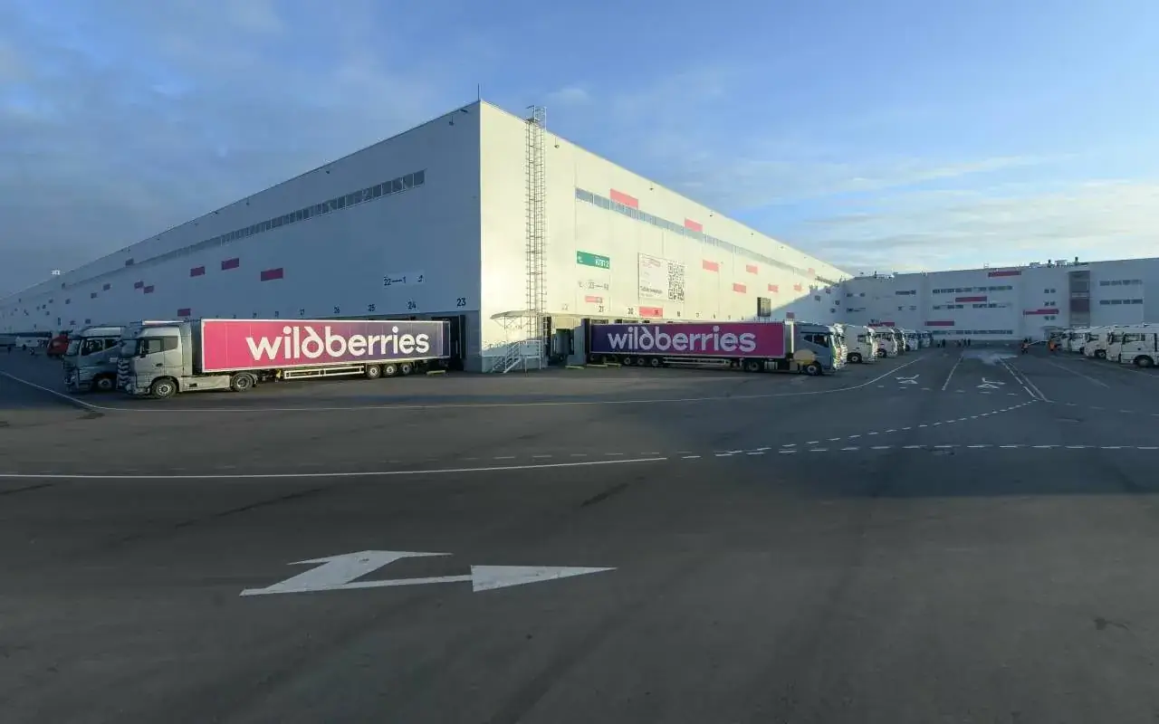Воронежские селлеры Wildberries теряют 40% выручки: как локальная SEO-оптимизация удваивает продажи за неделю.