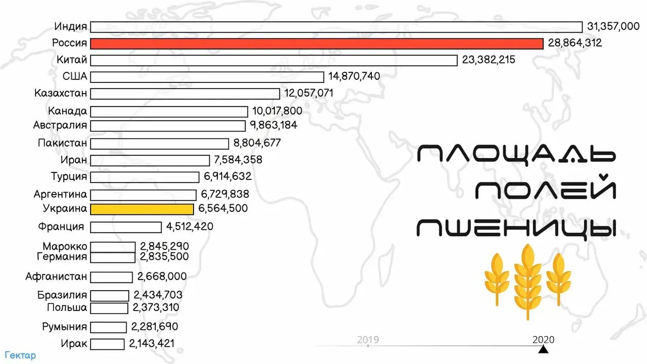 карта экспорт зерна Россия порты направления 2026