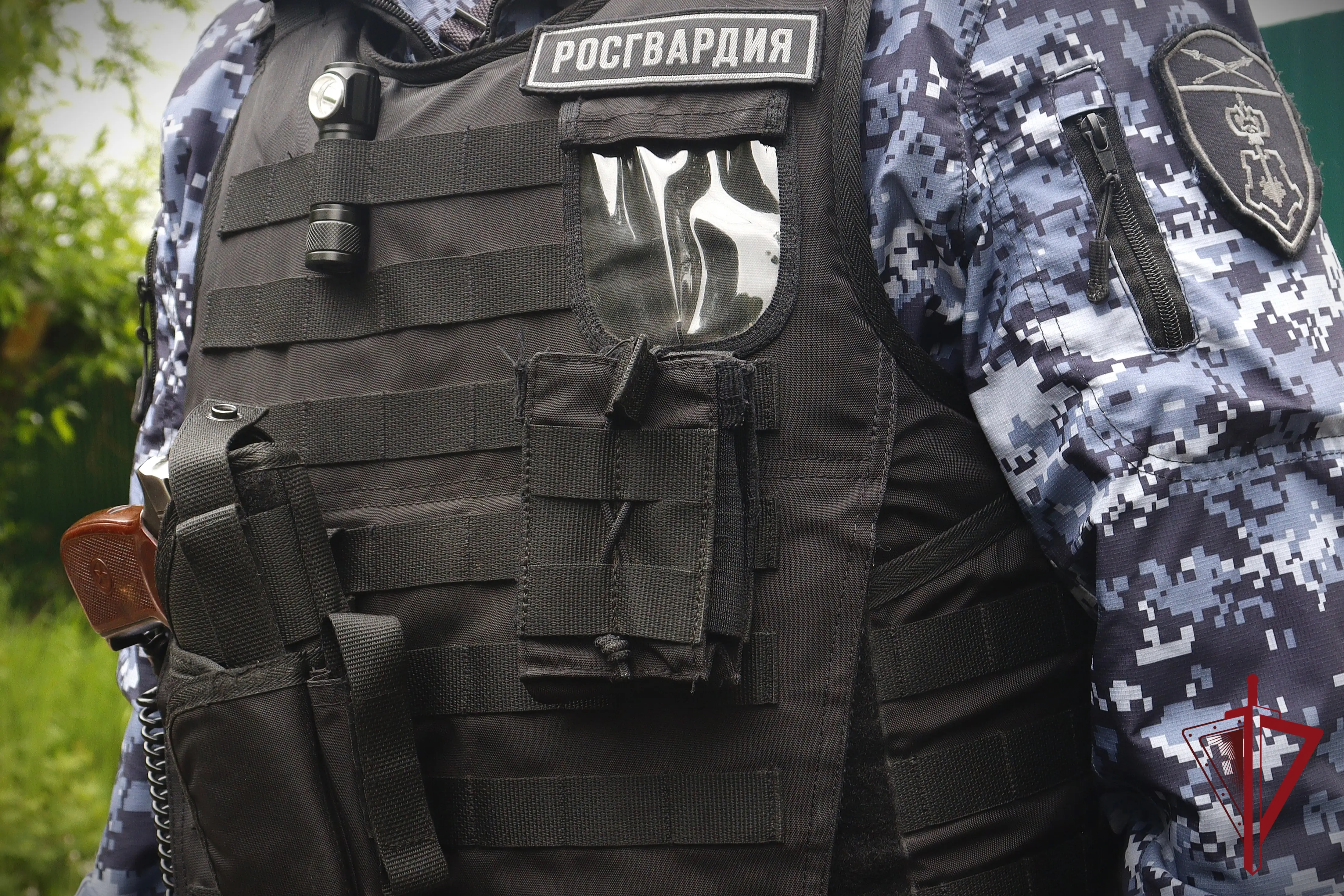 Реанимация вместо покупок: в Елизово женщину избили в магазине до тяжёлого состояния. Сохраните алгоритм из 3 шагов, что