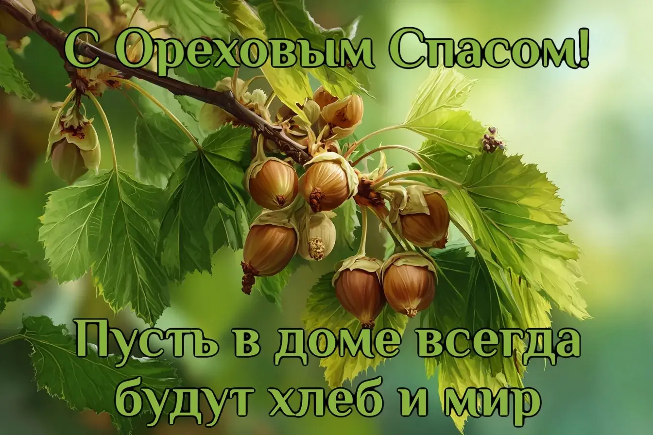 29 августа ИИ «скрыл» Ореховый спас: 3 проверенных способа за 1 минуту найти традиционные открытки для родных, когда пои