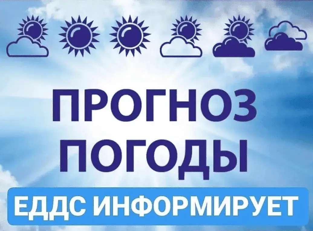 Жителям Новокузнецка важно знать: к 3 сентября температура рухнет до +3°C, синоптики предупредили о резком похолодании.